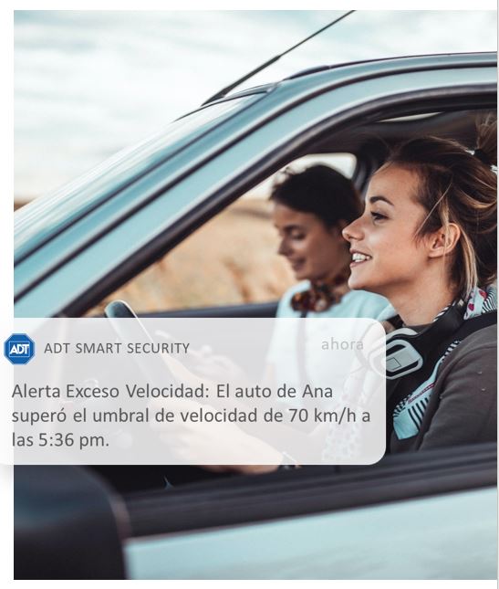 Autoconectado_9.JPG